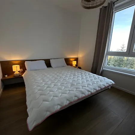 Snowflake Apartment